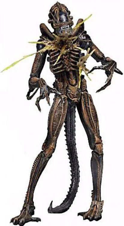 toywiz20260426083800888550